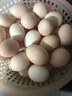 新鮮農(nóng)家谷物鮮雞蛋  現(xiàn)撿現(xiàn)發(fā) 破損包賠  營養(yǎng)早餐 單枚50g左右 30枚裝 曬單實(shí)拍圖