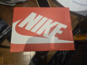 NIKE 耐克男女童休閑板鞋COURT BOROUGH魔術貼易穿脫兒童運動童鞋低幫 DV5457-131 33.5 【建議腳長21cm】 曬單實拍圖