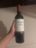 干露紅魔鬼Casillero del Diablo珍藏佳美娜干紅葡萄酒智利進(jìn)口紅酒750ml 珍藏佳美娜干紅整箱6瓶 曬單實(shí)拍圖