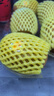 佳沛（zespri）新西蘭  陽光金奇異果10粒禮盒巨大果單果約144-175g 水果 獼猴桃 曬單實拍圖