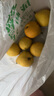 25年新梨正宗河北綠寶石梨青皮梨新鮮發(fā)貨龍華1 帶箱2斤裝 曬單實(shí)拍圖