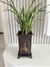 墨蘭蘭花苗盆栽帶花苞發(fā)貨精品名貴花卉綠植物室內(nèi)四季好養(yǎng)活企黑 建蘭（高方盆+底托）【10株苗】 曬單實(shí)拍圖