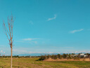 Rigal（瑞格爾）B1 投影儀家用智能投影機(jī)便攜臥室手機(jī)投影(封閉光機(jī) 電子梯形校正 家庭影院電視) 曬單實拍圖