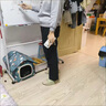 云拿月2025春秋款美式高腰直筒顯瘦多口袋工裝褲寬松休閑褲子外穿長(cháng)褲 黑色 XL 曬單實(shí)拍圖