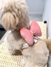 阿莫爾小狗狗牽引繩小型犬背心式比熊泰迪蝴蝶結寵物背帶防掙脫遛狗繩子 甜蜜粉（單背帶） S（建議3-6斤） 曬單實(shí)拍圖