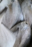魃鮮海捕新鮮銀鯧魚(yú) 鮮凍大號白鯧魚(yú) 海鮮水產(chǎn)鯧鳊魚(yú)平魚(yú) 400g- 500g /條（2條裝） 曬單實(shí)拍圖