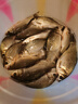 川澤升級方形魚護野釣專用網(wǎng)兜速干漁護迷你型便攜護網(wǎng)袋26cmx2.0m 曬單實拍圖