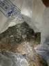 新食道多寶魚(yú)鮮活冷凍比目魚(yú)海鮮水產(chǎn) 350g 左右1條裝 曬單實(shí)拍圖
