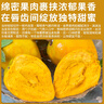 優(yōu)味集【JD順豐】蛋黃果雞蛋果新鮮面包果熱帶水果生鮮云南特產(chǎn)獅頭果 1000g精品大果（單果100-150g） 曬單實(shí)拍圖