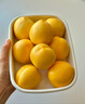 黃油桃北京特產(chǎn)平谷大桃脆甜澳油軟桃鮮桃當季時令水果禮盒裝 黃油桃 精選5斤裝12枚 禮盒裝 曬單實拍圖