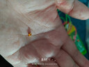 詠者黃金轉運珠足金999手鏈男女本命年送女友招財貓七夕情人節(jié)禮物 足金招財貓約0.3g 曬單實拍圖