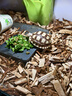 REPTIZOO爬寵UVA加熱燈爬蟲蜥蜴刺猬烏龜曬背陶瓷加熱燈用品 日夜可用無光陶瓷加熱燈100W 曬單實(shí)拍圖