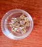 傾齡耳堵防掉超緊耳釘堵塞防掉耳環(huán)后塞飾品配件耳飾固定器金色 曬單實(shí)拍圖