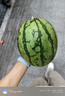 vivoiQOO散熱背夾2Pro星野灰 手機(jī)游戲直播散熱器半導(dǎo)體降溫制冷 適配vivo小米華為蘋果一加黑鯊紅魔 曬單實拍圖