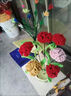 BIOSSANCE2號膠包綠色花桿仿真花鐵絲扭扭棒手工毛線(xiàn)花diy手工花束花藝制作 綠色包膠花桿80根+膠帶2卷 曬單實(shí)拍圖