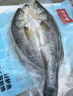 鮮京采三去海鱸魚(yú)3斤/3條 生鮮魚(yú)類(lèi) 白蕉鱸魚(yú)地標 無(wú)冰凈重3斤 源頭直發(fā) 曬單實(shí)拍圖