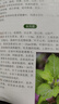 700種植物野外識別速查圖鑒（精裝全彩 口袋工具書(shū)） 曬單實(shí)拍圖