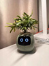 PLANTSIOIVY植物萌寵機(jī)器人智能花盆桌面擺件AI電子盆栽創(chuàng)意生日禮物 糯豆綠 曬單實(shí)拍圖