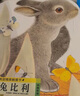 亮麗精美觸摸書-小兔比利（中英雙語）低幼認(rèn)知繪本 幼兒?jiǎn)⒚煞抡嬗|感觸摸書 【0-2歲】 寶寶繪本  省錢卡暑假作業(yè) 一升二暑假銜接 小升初暑假銜接 曬單實(shí)拍圖