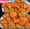 正宗印尼紅紅肉菠蘿蜜越南進(jìn)口干苞香甜9-18斤一整顆應(yīng)季新鮮水果 紅色 精挑紅肉A果9斤多【1個(gè)人吃】 曬單實(shí)拍圖