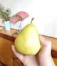 京配嘉果山東煙臺太婆梨新鮮大頭梨老婆梨茄梨當(dāng)季香蕉梨軟梨啤梨禮盒整箱 3斤優(yōu)選裝 曬單實(shí)拍圖