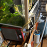 奧凌恒業(yè)奧凌冷水機(jī)水族箱降溫魚(yú)缸制冷器淡水海水制冷壓縮機(jī)水冷機(jī)省電 AL-SF102帶潛水泵水管 160L內(nèi)用 曬單實(shí)拍圖