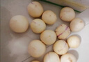 云南黃肉石林人參果富硒黃心批發(fā)新鮮大果應(yīng)季孕婦低糖整箱水果 9 斤精選 大果 60-80 克 曬單實拍圖