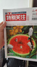 包郵 特別關(guān)注雜志2025年1-8月新刊到【全年/半年訂閱/2024年1-12月可選】成熟男士的讀者文摘青少年文學(xué)文摘素材非過(guò)刊K 現(xiàn)貨【共8本】25年1-8月 曬單實(shí)拍圖