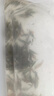 河蝦苗青蝦太湖三號(hào)沼蝦長(zhǎng)臂大頭蝦苗養(yǎng)殖淡水清蝦苗活體順豐包郵 太湖清河蝦苗1-2cm200條送20條 曬單實(shí)拍圖