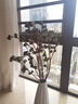 云南鮮花基地鮮花干花基地直銷現(xiàn)采現(xiàn)發(fā)尤加利果直發(fā)家庭風(fēng)干 大果三大扎(滿滿一盒) 曬單實拍圖