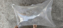 土鯽鯽魚(yú)苗工程鯽湘云鯽大板大品種中科五號淡冷水養殖活體草魚(yú)苗 土鯽2-3厘米500條多發(fā)20%防損 曬單實(shí)拍圖