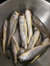 彈指鮮生舟山野生小黃魚(yú)  新鮮冷凍海捕黃花魚(yú) 生鮮魚(yú)類(lèi)燒烤食材 凈重4斤【特大號】約8-10條/斤 曬單實(shí)拍圖