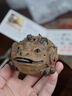 天盛堂創(chuàng)意樹(shù)皮金蟾宜興紫砂茶寵擺件精品可養(yǎng)茶具招財(cái)手工茶盤(pán)小茶玩 樹(shù)皮金蟾茶寵 曬單實(shí)拍圖