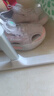 米菲Miffy童鞋2024春夏季新款旋鈕扣包頭女童涼鞋透氣休閑輕便涼鞋潮 淺粉 29碼/內(nèi)長18.6cm 曬單實(shí)拍圖