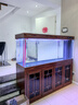 閩江大型新中式客廳家用落地魚(yú)缸水族箱辦公室招財免換水底濾龍魚(yú)缸 【4代】酸枝木 【2代專(zhuān)業(yè)款】180長(cháng)*50寬*155高送豪華套餐 曬單實(shí)拍圖