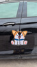 狗狗車(chē)貼車(chē)身裝飾個(gè)性創(chuàng  )意劃痕遮擋貼花遮蓋防水貼畫(huà)車(chē)頭汽車(chē)貼紙 30厘米吐舌柯基 曬單實(shí)拍圖