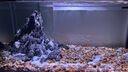 森森（SUNSUN）原生態(tài)溪流缸魚缸造景家用原生缸客廳超白玻璃底濾魚缸包安裝 皓月白-專業(yè)款 升級底濾（雙重滴濾盒） 1米長47.6cm寬40cm缸高+85cm柜高 曬單實拍圖