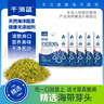 千海藍(lán)海帶芽頭海帶苗頭鹽漬嫩苗正宗涼拌新鮮海帶頭福建霞浦特產(chǎn) 海帶芽頭250gx5袋 曬單實(shí)拍圖