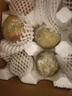 龍多鮮水蜜桃 現(xiàn)摘新鮮當(dāng)季應(yīng)季時(shí)令水果整箱山西桃子脆甜軟硬兩吃 整箱5斤 單果65-70MM 凈4.5斤 曬單實(shí)拍圖