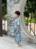 DOMIAMIAKIDS2025新款短袖演出服兒童漢服夏季男童中國(guó)風(fēng)古風(fēng)唐裝女童旗袍 新中式藍(lán)色套裝男 130 【建議身高121-130cm】 曬單實(shí)拍圖