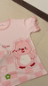 韞舜睡衣女款短袖短褲夏季薄款可愛(ài)卡通大碼夏天家居服套裝 小熊【L（建議100-120斤）】 曬單實(shí)拍圖