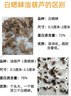 KERRY蟋蟀活體爬寵食物白蟋蟀蛐蛐蜥蜴守宮鬃獅蜘蛛蝎子糧食活食櫻桃紅 1-2cm白蟋蟀600只 曬單實(shí)拍圖