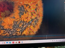 訊景（XFX）AMD RADEON RX 9070 戰(zhàn)狼270 16GB 白色 全新電競(jìng)游戲設(shè)計(jì)智能學(xué)習(xí)臺(tái)式電腦獨(dú)立顯卡 曬單實(shí)拍圖