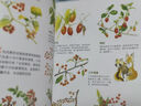 自然圖鑒（全5冊(cè)）兒童繪本3-6-9歲自然科普童書小學(xué)生課外書閱讀書籍   曬單實(shí)拍圖