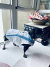 拉夫威爾思韋伯狗狗涼涼衣ruffwear夏季防暑降溫中型犬戶外寵物衣服 霧森綠 M 適合胸圍 69-81cm 曬單實拍圖