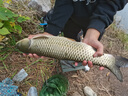 舟三公爆炸餌海竿拋竿魚餌料野釣遠(yuǎn)投水庫溪流爆炸鉤魚餌大物鯉魚草魚窩料鯽魚打窩料魚食底窩料釣魚用品 爆炸狂拉450克 曬單實拍圖
