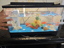 闊庭帶燈魚缸造景桌面生態(tài)缸透明塑料水族箱管觀賞魚專用小金魚缸 【藍(lán)沙造景】黑色豪華套餐 39*21.5*21 曬單實(shí)拍圖
