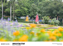 星曜光學(xué)星曜50mm F0.95全畫(huà)幅人像星耀大光圈夜神鏡頭50 f0.95光圈鏡頭 黑色二代【官方標(biāo)配】 索尼E口（A7C/A7M3/A7S3/A7R3A） 曬單實(shí)拍圖