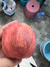 甘肅富士蘋果6粒1.1kg 曬單實(shí)拍圖