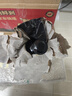 【白水杜康藍花瓷】玻璃磨砂壇器 古法陳釀白酒52度濃香型糧食酒 52%vol 500mL 6壇 整箱裝 曬單實(shí)拍圖